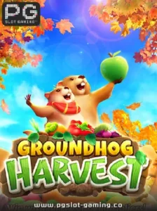 เกมฮอต จากค่าย PG SLOT เกม Groundhog Harvest แตกหนัก แจกจริง ไม่ล๊อคยูส