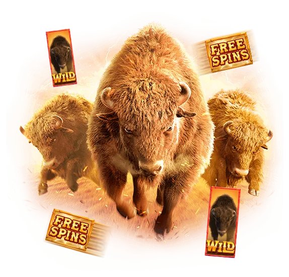 Buffalo Win