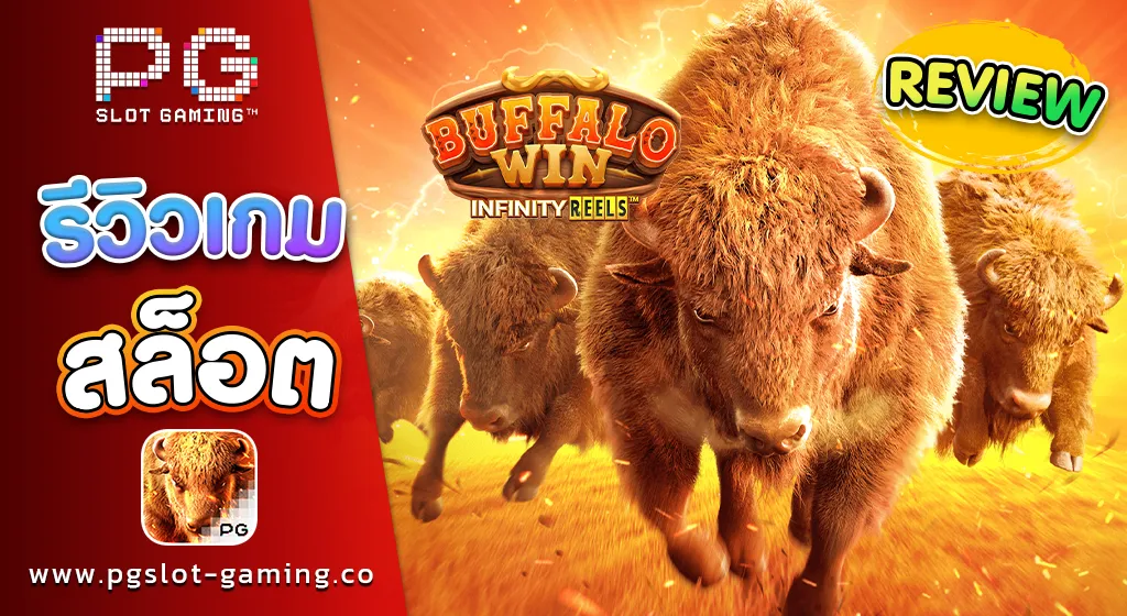 BUFFALO WIN